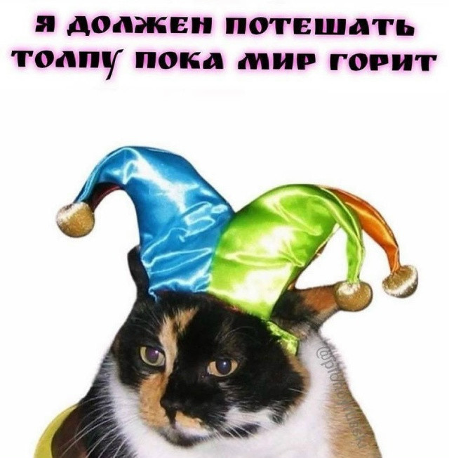 Мем