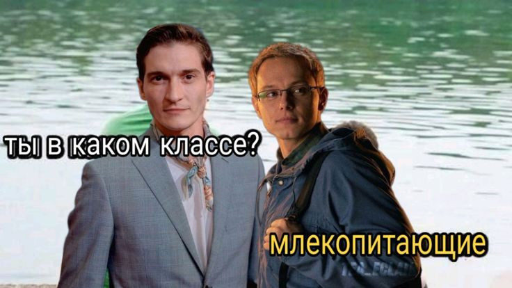 Мем